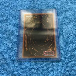 Amphibian Beast LON-008 Yu-Gi-Oh! Non-Holofoil Rare Lightly Played - Image 2