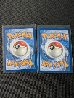 Pokemon First Partner Collection Series 2 - Chikorita And Cyndaquil NM - Image 2
