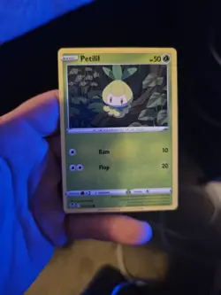 Petilil (Common) Silver Tempest Pokemon Card - Image 1
