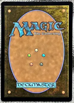 MTG Raff, Weatherlight Stalwart 186 Halo Foil Multiverse Legends MTG Card - Image 2