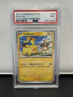 2023 POKEMON JAPANESE SV-P PROMO 120 PIKACHU GYM EVENT CAMPAIGN PSA 9 - Image 1