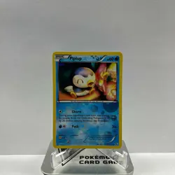 Pokemon TCG Piplup RC6/RC25 Holo BW Legendary Treasures Radiant Collection NM - Image 1