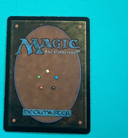 Seedborn Muse - 9th Edition - MTG - Magic the Gathering - MP - Image 2