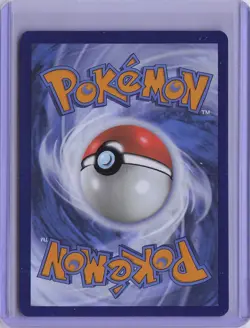 Turtwig - 040 040 Holo Promo ME: Mega Evolution Promo Pokemon Near Mint - Image 2