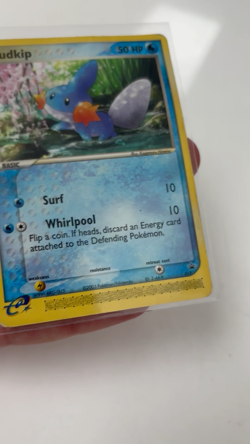 The Pokemon Company Mudkip 018 Target Promo Nintendo Regular 50 HP English - Image 2