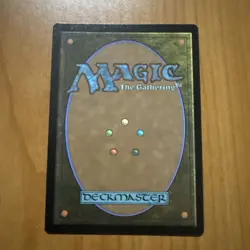 Realmwalker - Lorwyn Eclipsed 2026 - N/M - MTG Magic The Gathering - Image 2