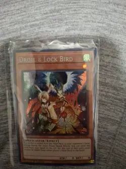 DROLL & LOCK BIRD 1ST EDITION SECRET RARE RA02-EN006 Yu-Gi-Oh! M-NM! - Image 2