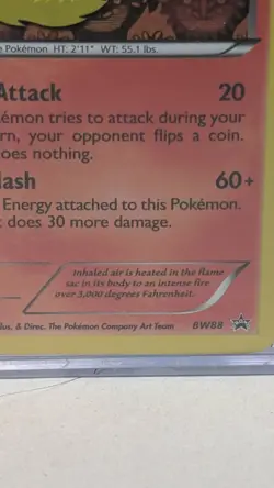 Pokemon TCG Card Rare Flareon BW88 Black & White Promo Holo 2013 NM - Image 5