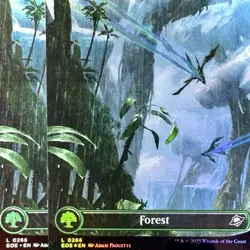 Forest (0266) (Borderless) x2 - Reg & FOIL - MTG - EOE - LAND ~ NM - Image 1