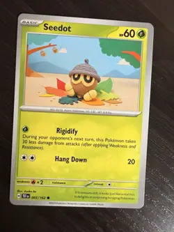 Seedot 003/162 Temporal Forces Regular Crocheted Art Pokemon Card - Image 1
