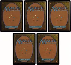 MTG Wilds of Eldraine Set of Full Art Lands (Common) - Image 2
