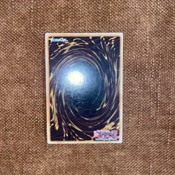 Yugioh! LP Black-Winged Dragon - DP11-EN016 - Super Rare - 1st Edition - Image 4