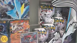 The Pokemon TCG: Unova Heavy Hitters Premium Collection [FACTORY SEALED] - Image 5