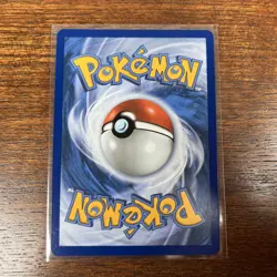 Pokemon First Partner Series 2 Johto Starter Set Chikorita Cyndaquil Totodile NM - Image 3