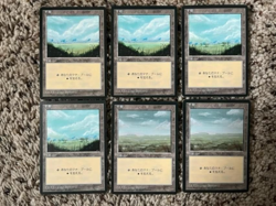 MTG- Plains x6 - Japanese FBB (Two of each art) - Image 1