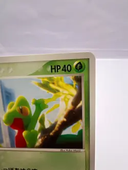 Pokemon Card Treecko 037/PCG-P Yokohama Pokemon Center Promo Japanese - Image 3