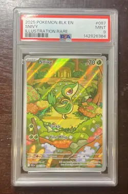 Snivy Illustration Rare Holo PSA 9 MINT (2025) Pokemon Black Bolt 087/086 - Image 1