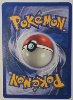Pokemon TCG Heracross 64/144 Skyridge Regular 2003 LP - Image 3