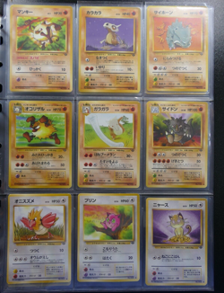 Pokemon Jungle Master Deck All Non Holo Cards Mint/Near Mint 32 Cards in total - Image 5
