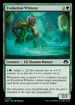 Evolution Witness - Foil Light Play, English Magic the Gathering MTG Modern Hori - Image 1