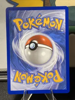 Pokemon First Partner Series 2 - Johto Starter Set Chikorita Cyndaquil Totodile - Image 3