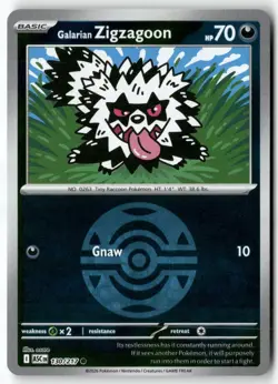 Galarian Zigzagoon (Dusk Ball) 130/217 Common Ascended Heroes Pokemon Near Mint - Image 1