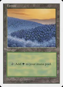 Forest (D) 5th Edition PLD Basic Land MAGIC THE GATHERING MTG CARD ABUGames - Image 1