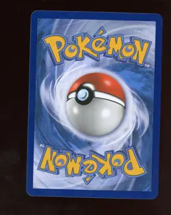 2019 Pokemon SM Black Star Pikachu & Zekrom Gx Promo Tag Tins SM168 - Image 2