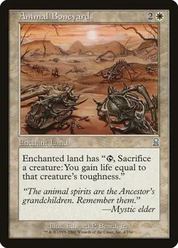 MTG Odyssey --- ANIMAL BONEYARD --- Uncommon! NM! Magic the Gathering! - Image 3