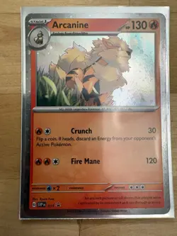 ARCANINE 011 HOLO PROMO SCARLET & VIOLET PROMO POKEMON NM - Image 1