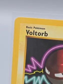Pokemon TCG Voltorb Base Set Shadowless 67/102 40 HP Common Regular English - Image 2