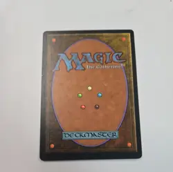 Enlightened Tutor Mirage Regular - Image 2