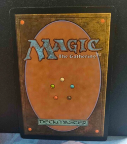 Elvish Archdruid - Magic 2011 - Excellent/LP - Rare - MTG - Image 2