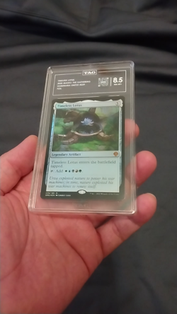 MTG, Timeless Lotus, Dominaria United (Foil, Mythic) TAG Grade 8.5 - Image 2