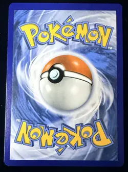 Fennekin 080 Holo Promo ME: Mega Evolution Promo Pokemon NM/M - Image 2