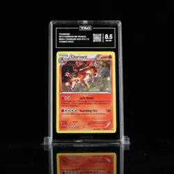 TAG 8.5 Charizard Cosmo Holo 2013 Pokemon Black & White: Promo - Image 1