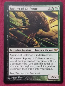 Magic The Gathering EVENTIDE SAPLING OF COLFENOR black/green card MTG - Image 1