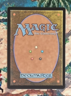 MTG - Life from the Loam - Ravnica Remastered borderless RVR magic the gathering - Image 2