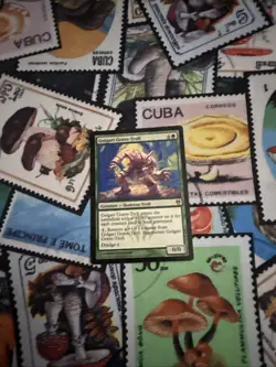 Golgari Grave-Troll Duel Decks: Izzet vs. Golgari Regular MTG Card - Image 2