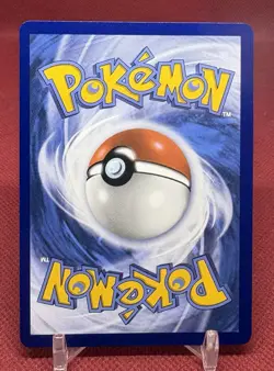 Pokemon First Partner Illustration Collection Series 2 Johto Gen 2 Set - Image 3