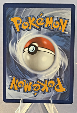 Pokemon Squirtle 039 First Partner Illustration Full Art Holo Promo - Image 2