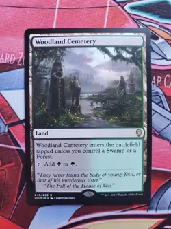 MTG Magic the Gathering Woodland Cemetery (248/296) Dominaria LP - Image 1