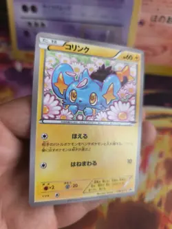 Pokemon Karte Card Shinx Sheinux XY Black Star Promo 2015 Rare japanese NM+ - Image 4