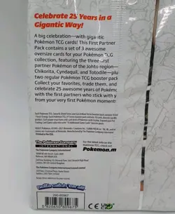 Pokemon TCG First Partner Pack JOHTO 25th Anniversary Train On 3 Oversize Cards 820650809675 - Image 3