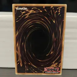 1ST EDITION D/D DOG 2020 ROTD-EN091 (LP/MP) YUGIOH - Image 2