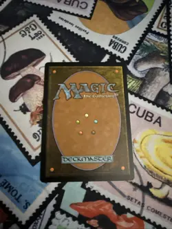 Ajani's Chosen Core Set 2014 (M14) Regular MTG NM - Image 3