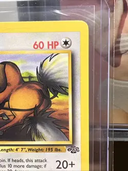 Tauros 47/64 1st Edition Regular Non Holo WoTC Pokemon Jungle Set LP English - Image 4