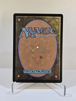 MTG Misty Rainforest (Borderless) FOIL Special Guests Magic The Gathering - Image 2