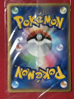 2005 Pokepark Torchic 047/PCG-P Promo Sealed Pokemon Card Japanese - US Seller - Image 4