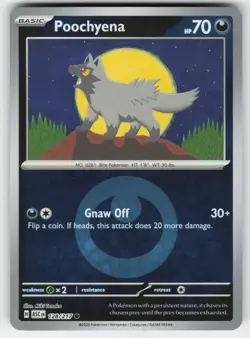 Poochyena (Energy Symbol) 128/217 Holo Ascended Heroes Pokemon Reverse Holo NM - Image 1